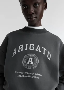 University Sweatshirt