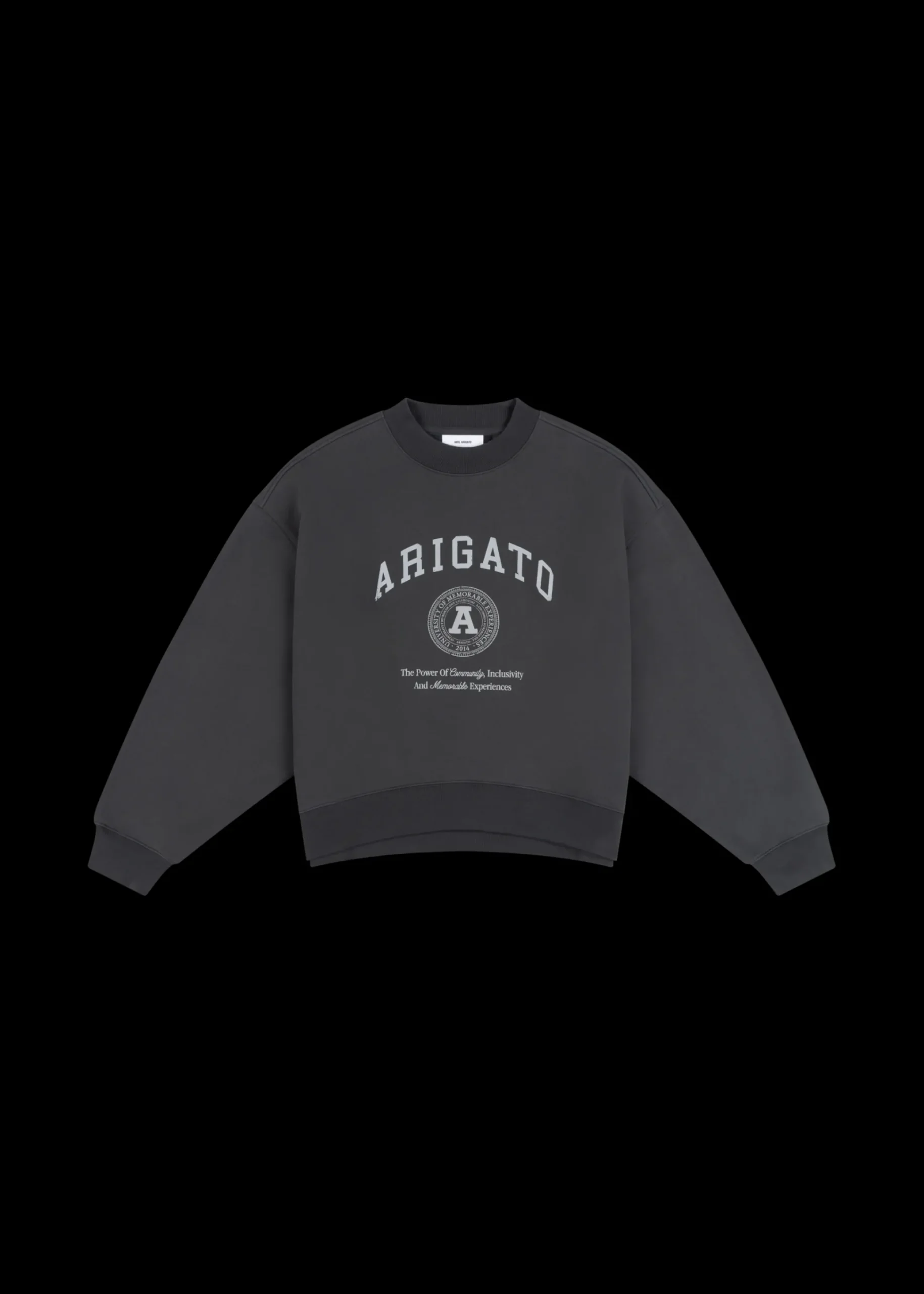 University Sweatshirt